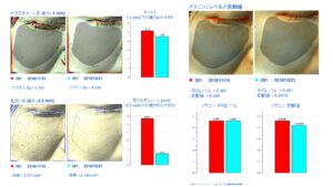 ラビアンマイルドモードの変化