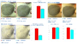 ラビアンノーマルモードの変化②